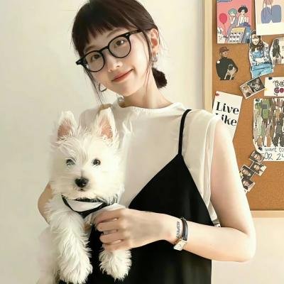 废柴联盟第三季